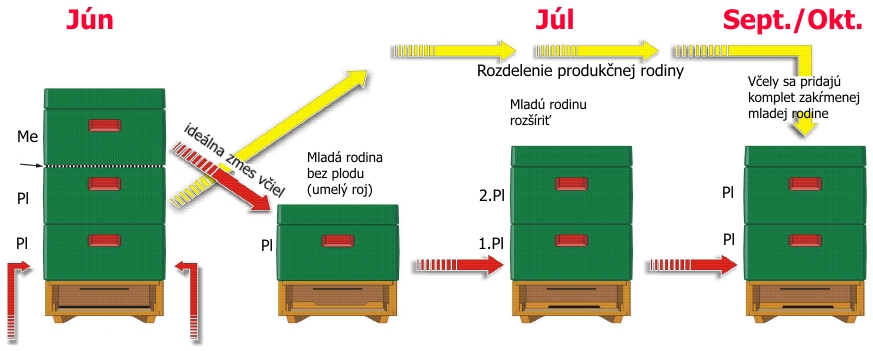 Pracovn a asov pln tvorby mladej rodiny